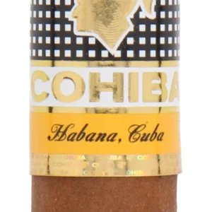 Cohiba Robustos Cuban Cigars - Single