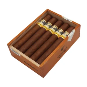 Cohiba Siglo VI Cigar